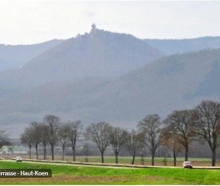 Gite De L'Aubach Ebersheim Esterno foto