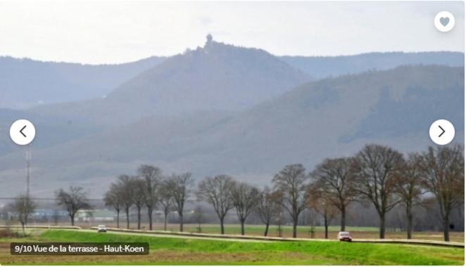Gite De L'Aubach Ebersheim Esterno foto